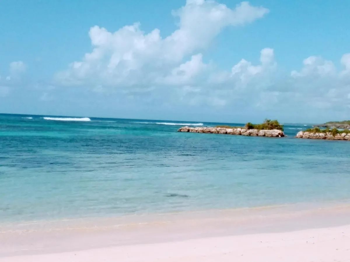 Studio Vue Mer Haut De Villa Anse Des Rochers Saint-Francois  Apartment Saint-Francois (Grande-Terre)