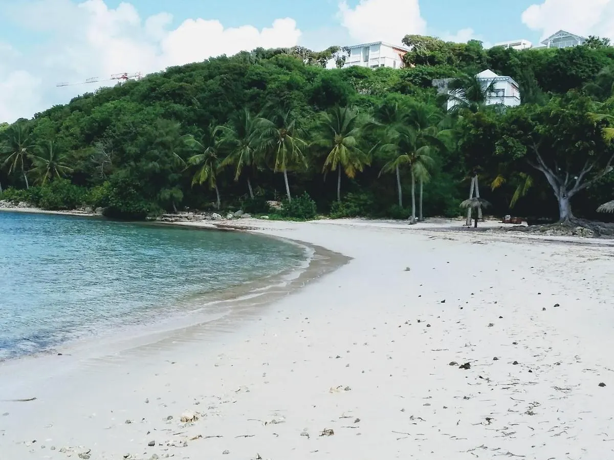 Apartment Studio Vue Mer Haut De Villa Anse Des Rochers Saint-Francois  Guadeloupe
